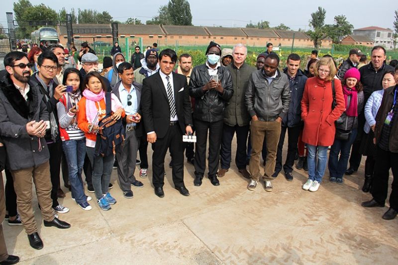 72名外國專家為何同時考察一個菊花基地？