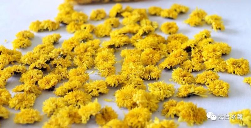 2018，種下希望，靜待花開！